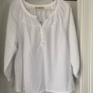 Loft White Eyelet Blouse Size Large NWWT